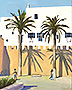 Morocco-Palm-Shadows-lg