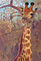 giraffe-lg