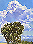 Spring-Clouds-Eucalyptus-lg
