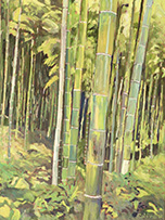 Bamboo-Forest-Kyoto-lg