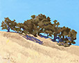 oaks-on-ridge2-lg