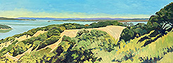 Tiburon-Point-lg